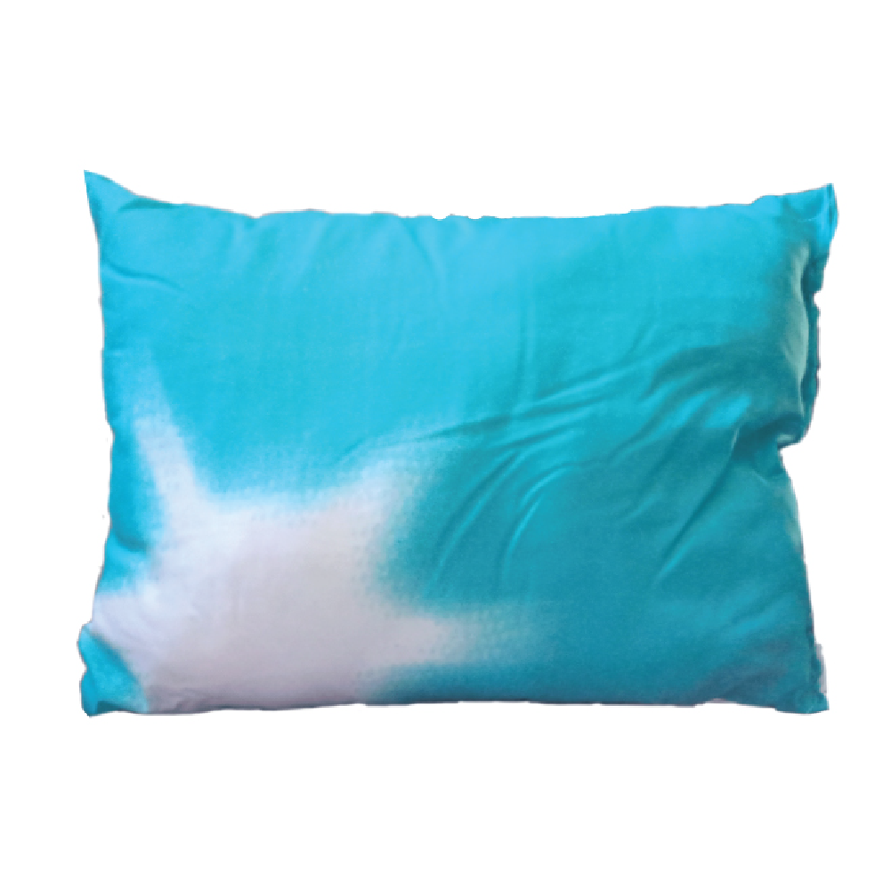 OREILLIER ANTI ALLERGIQUE 2401 55X40 FIBRE