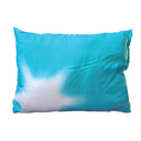 OREILLIER ANTI ALLERGIQUE 2401 55X40 FIBRE