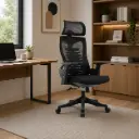 OFFICE CHAIR HALE- H (2 IN 1) HIGH BACK ERGONOMIC MESH BLACK