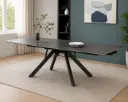 DINING TABLE CHESLEY (2PCS) REF DT-8009 EXTENSIBLE RECTANGLE
