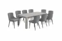 Dining Set Nicole/Omeo - Table 8 seater 31770 + 8 x chair 29297