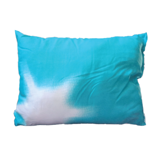 [10940] OREILLIER ANTI ALLERGIQUE 2401 55X40 FIBRE