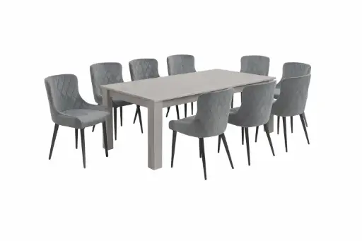 Dining Set Nicole/Omeo - Table 8 seater 31770 + 8 x chair 29297